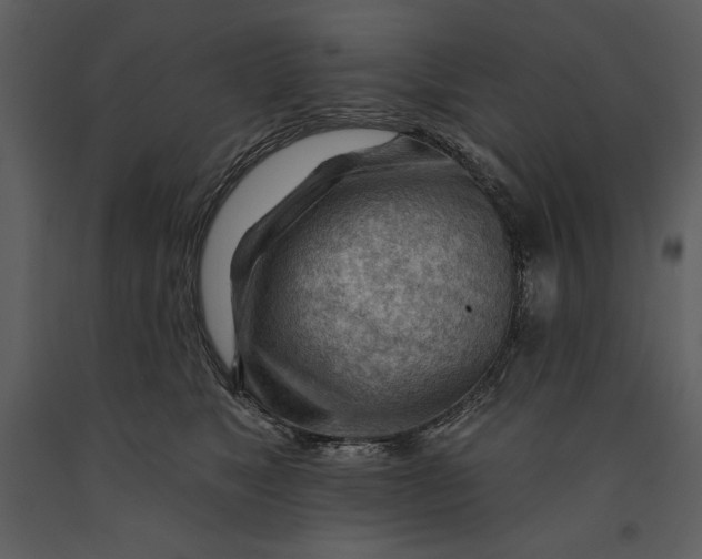 X0000090970517200708241318