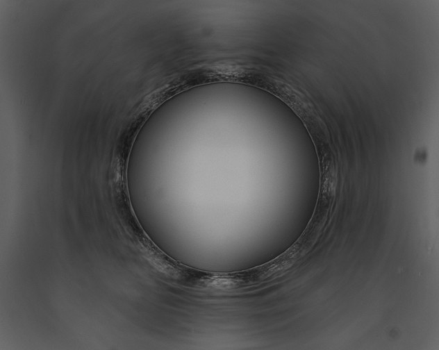 X0000090970518200708241318