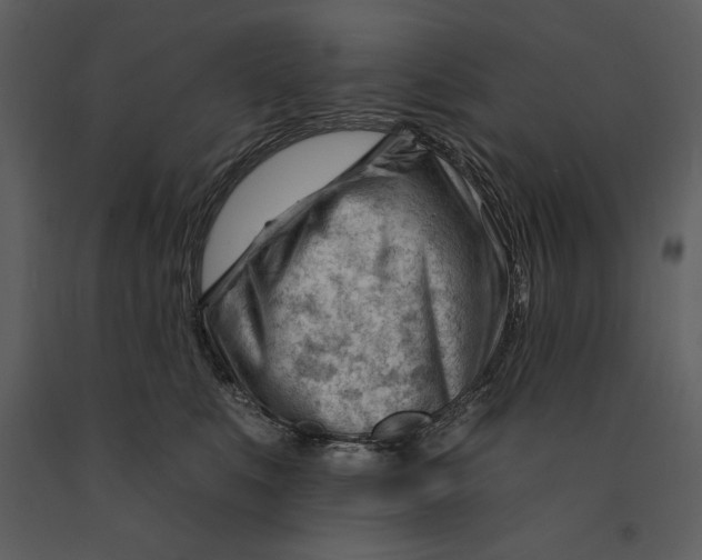 X0000090970519200708241318