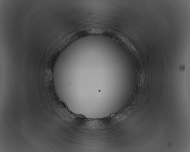 X0000090970521200708241318