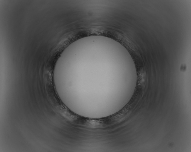 X0000090970522200708241318