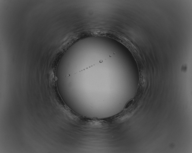 X0000090970523200708241318