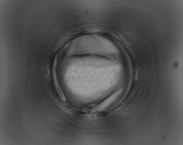 X0000090970524200708241318