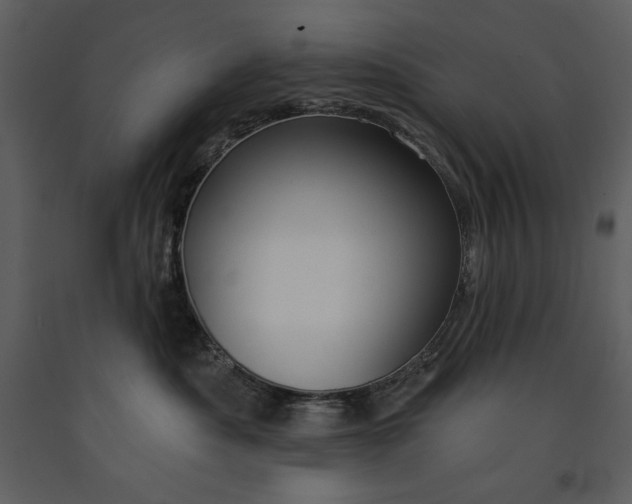 X0000090970525200708241318