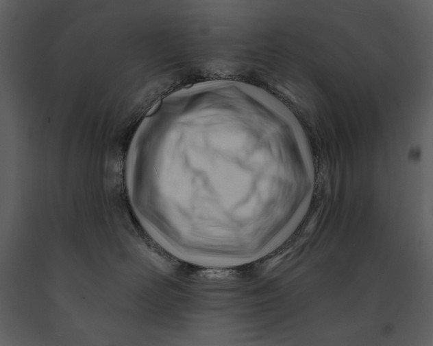 X0000090970526200708241318