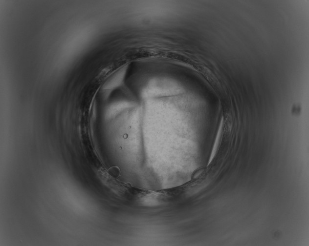 X0000090970527200708241318