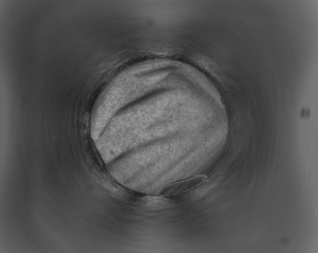 X0000090970528200708241318