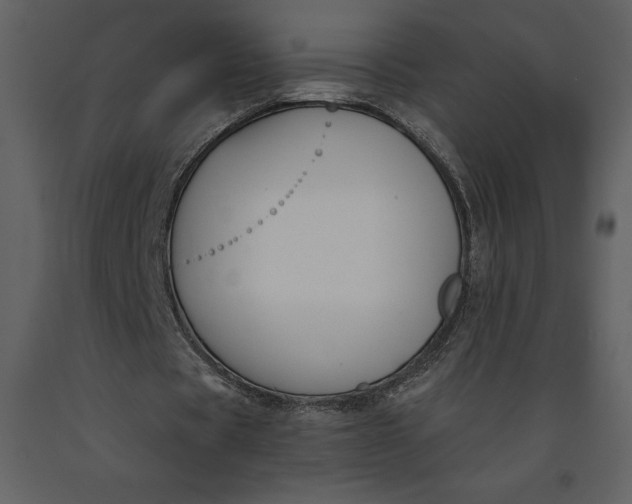 X0000090970529200708241317