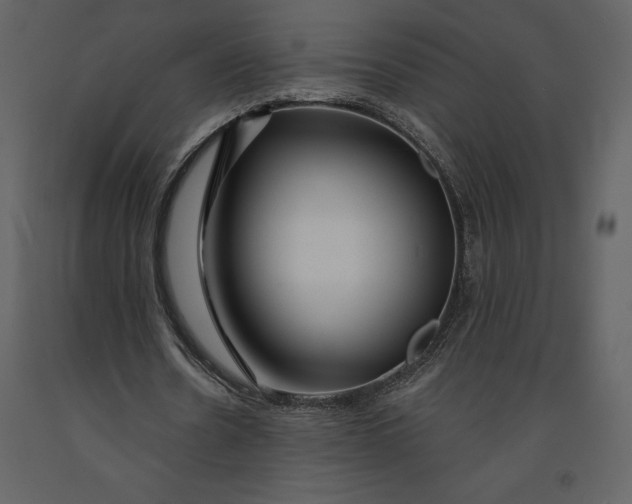 X0000090970530200708241318