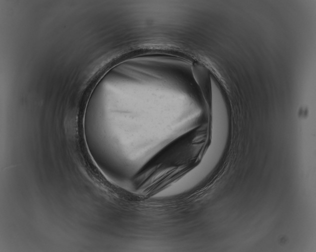 X0000090970531200708241318