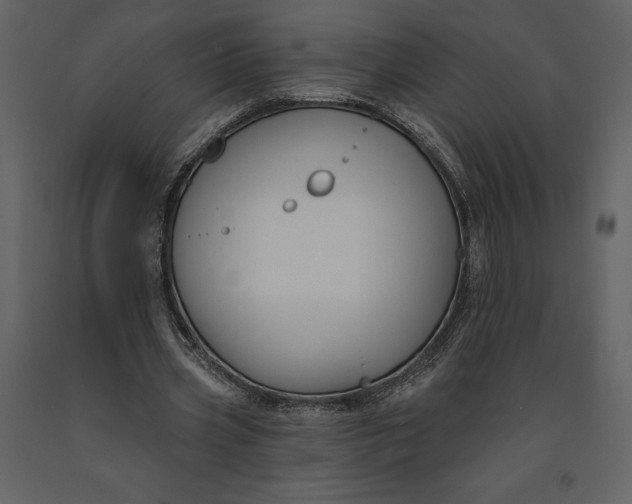 X0000090970533200708241318