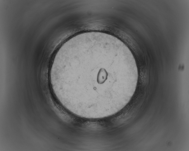 X0000090970534200708241318