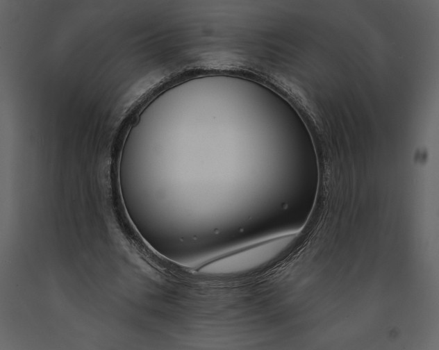 X0000090970535200708241318