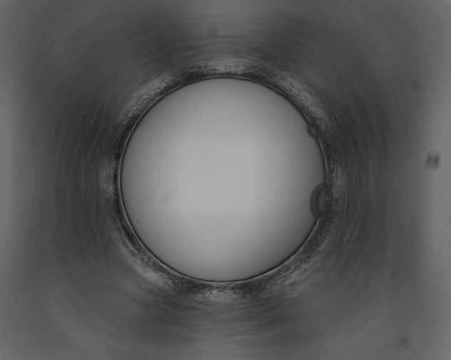 X0000090970537200708241318