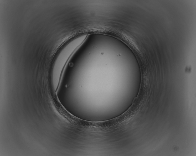 X0000090970538200708241318