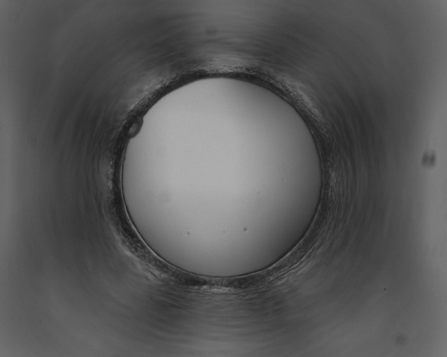 X0000090970539200708241318