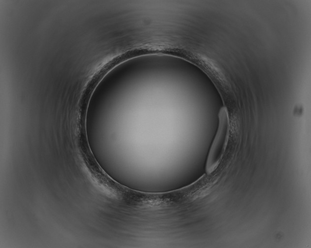 X0000090970540200708241318