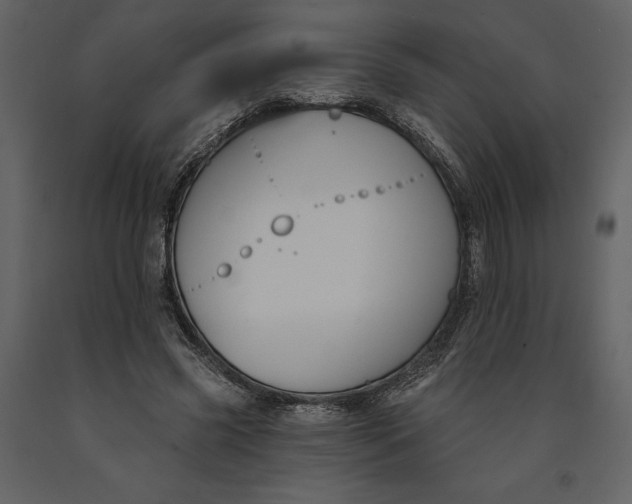 X0000090970541200708241318