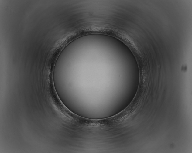 X0000090970542200708241318