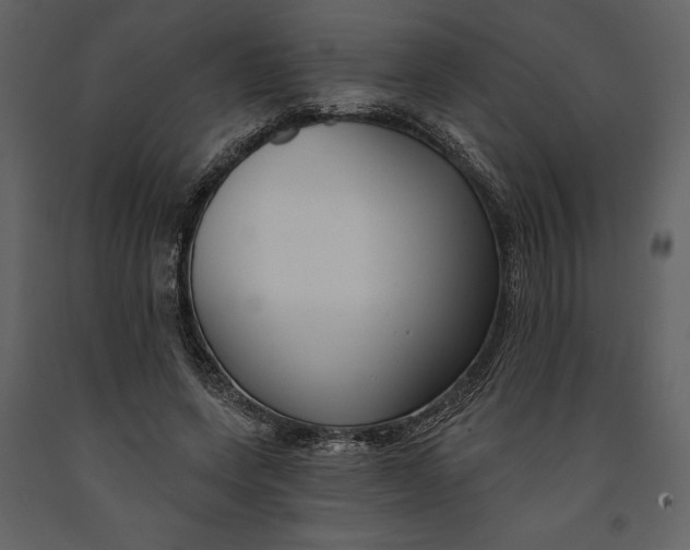 X0000090970543200708241318