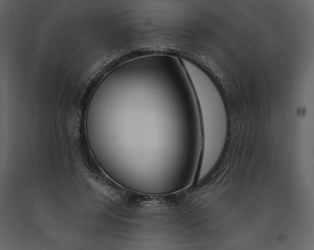 X0000090970544200708241318