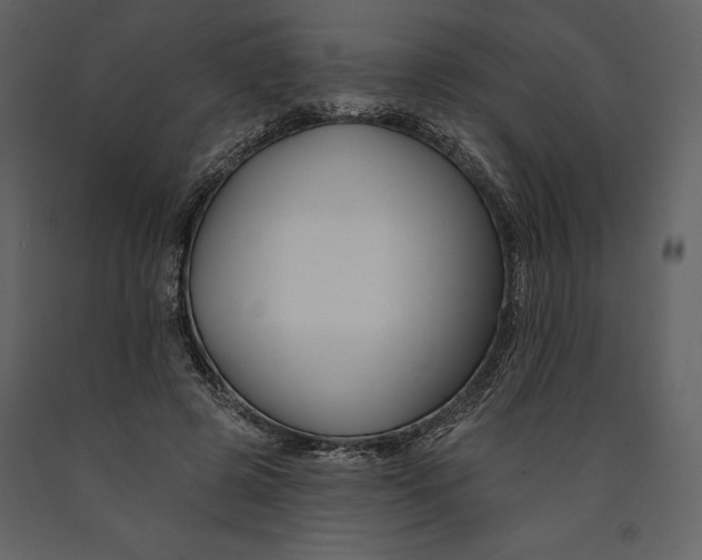 X0000090970545200708241318