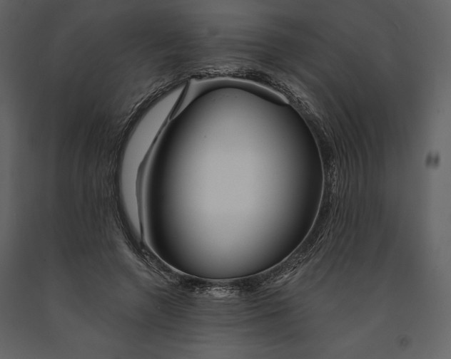 X0000090970546200708241318