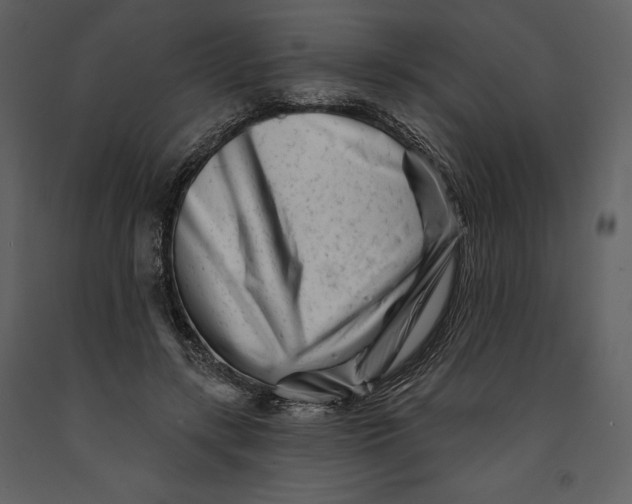 X0000090970547200708241318