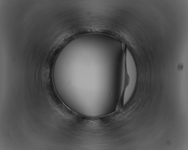 X0000090970548200708241318