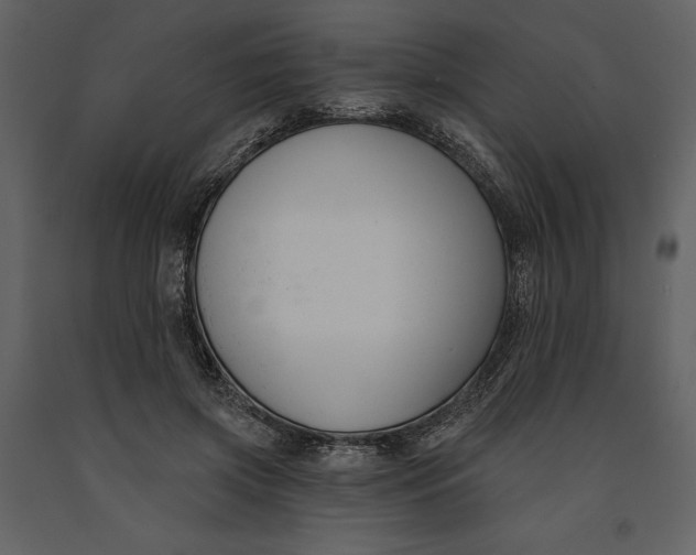 X0000090970549200708241318