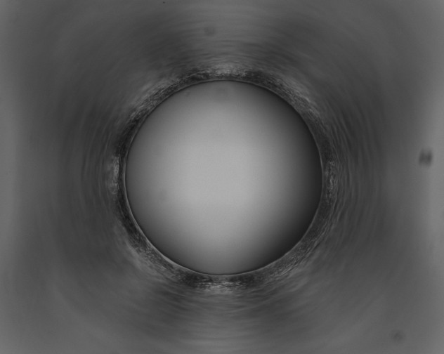 X0000090970550200708241318