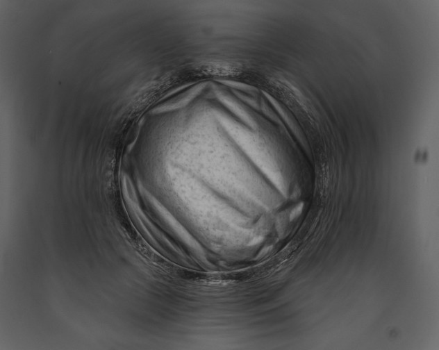 X0000090970553200708241318