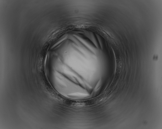 X0000090970554200708241318