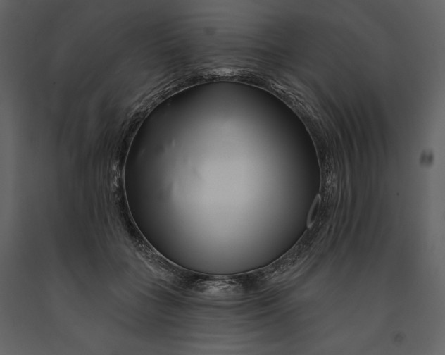 X0000090970555200708241318