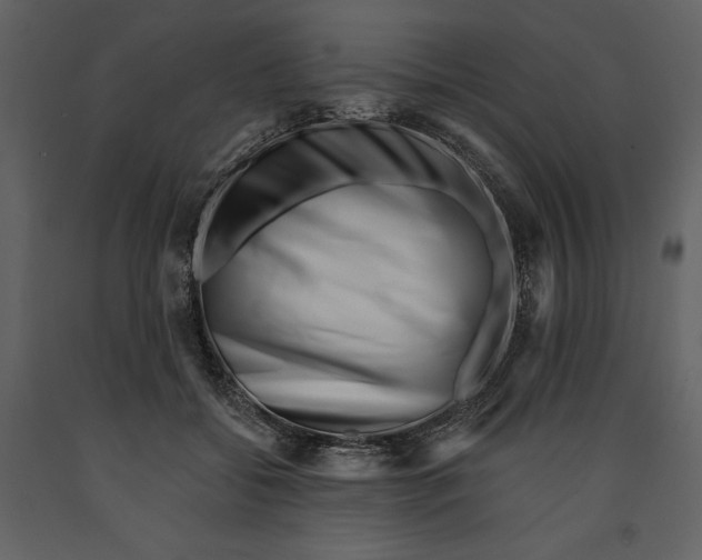 X0000090970556200708241318