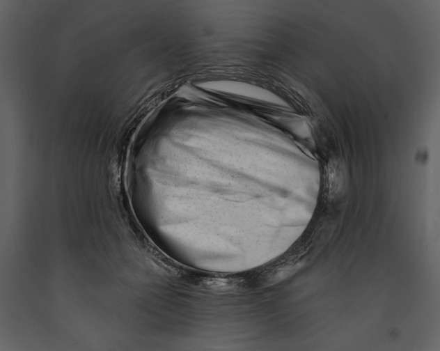 X0000090970558200708241318