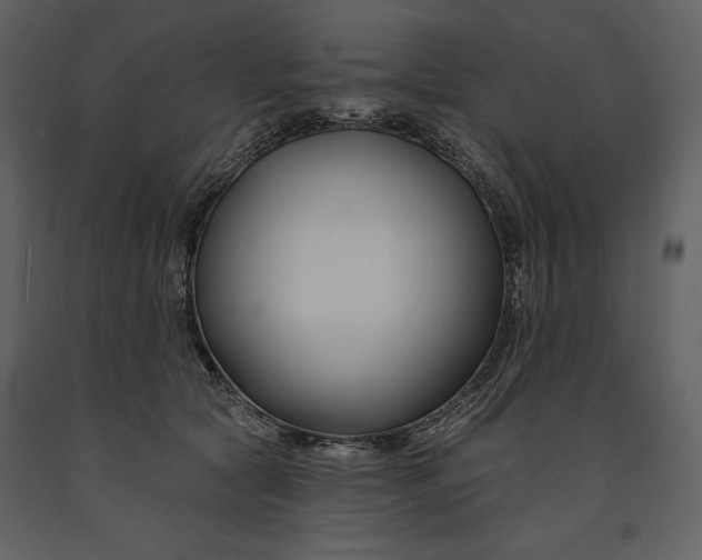 X0000090970561200708241318