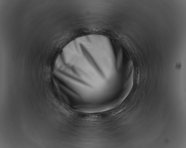 X0000090970563200708241318