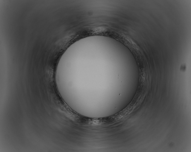 X0000090970565200708241318