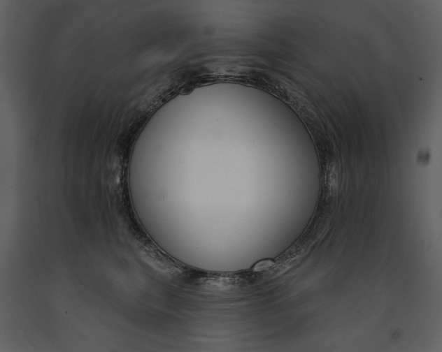 X0000090970567200708241318