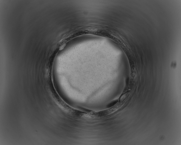 X0000090970568200708241318