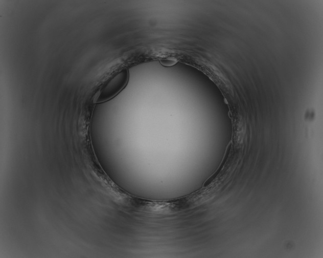 X0000090970569200708241318