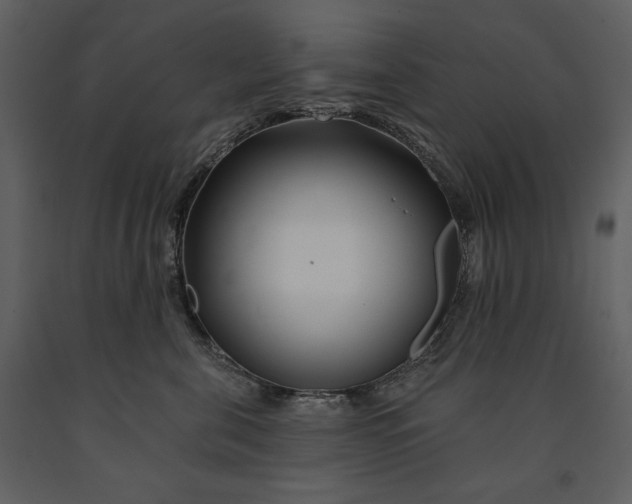 X0000090970571200708241318