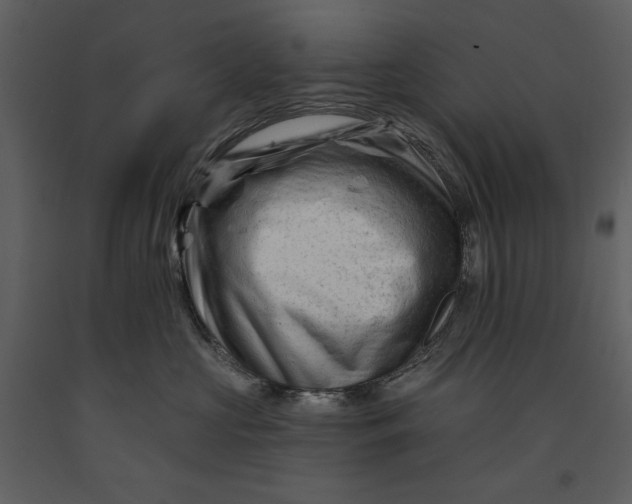 X0000090970573200708241318