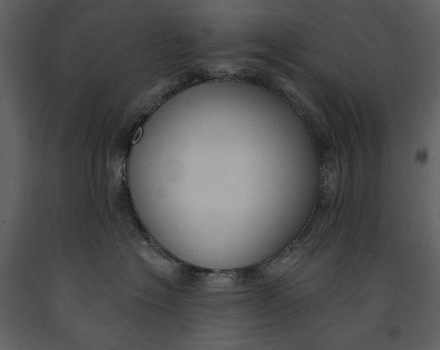 X0000090970574200708241318