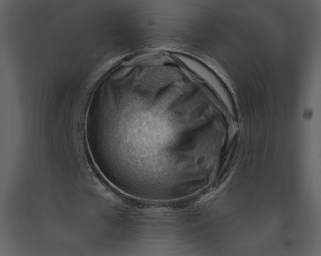 X0000090970577200708241317