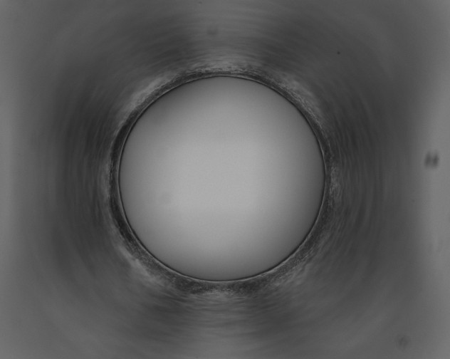 X0000090970578200708241317