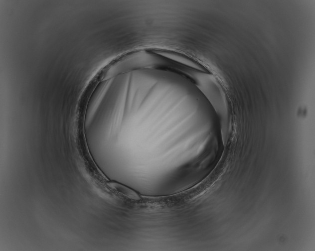 X0000090970580200708241317