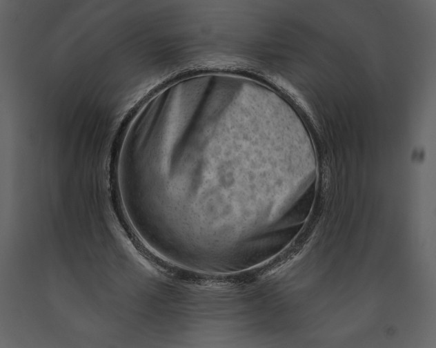 X0000090970581200708241317