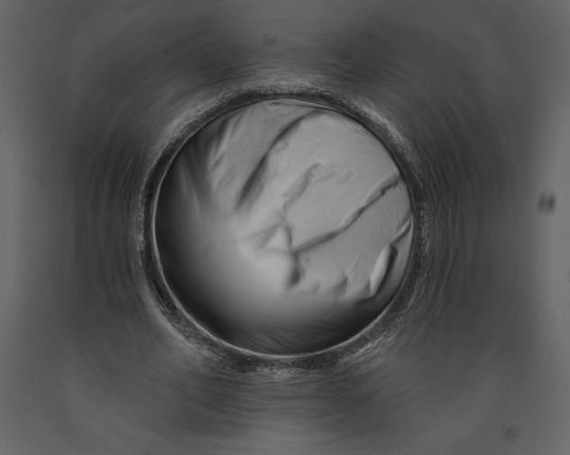 X0000090970582200708241317